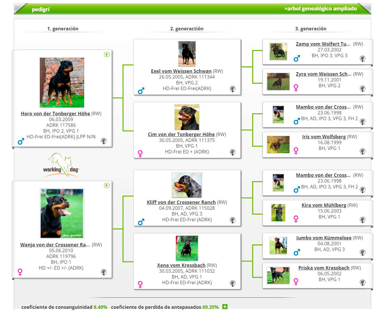 Pedigree Valeska Vom Kressbach