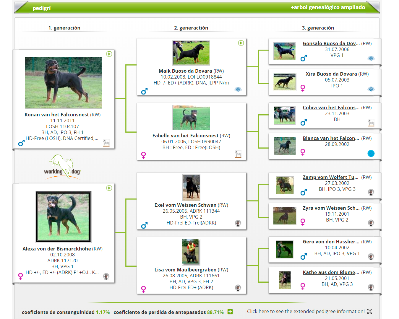 Pedigree Alexa Vom Hause Neska