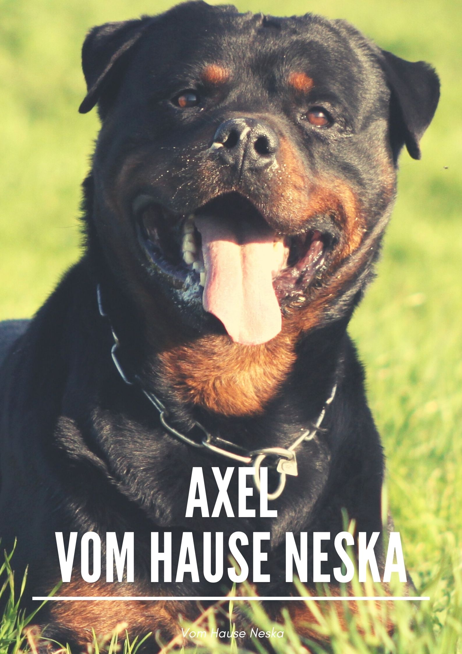 Foto de portada Axel vom hause Neska