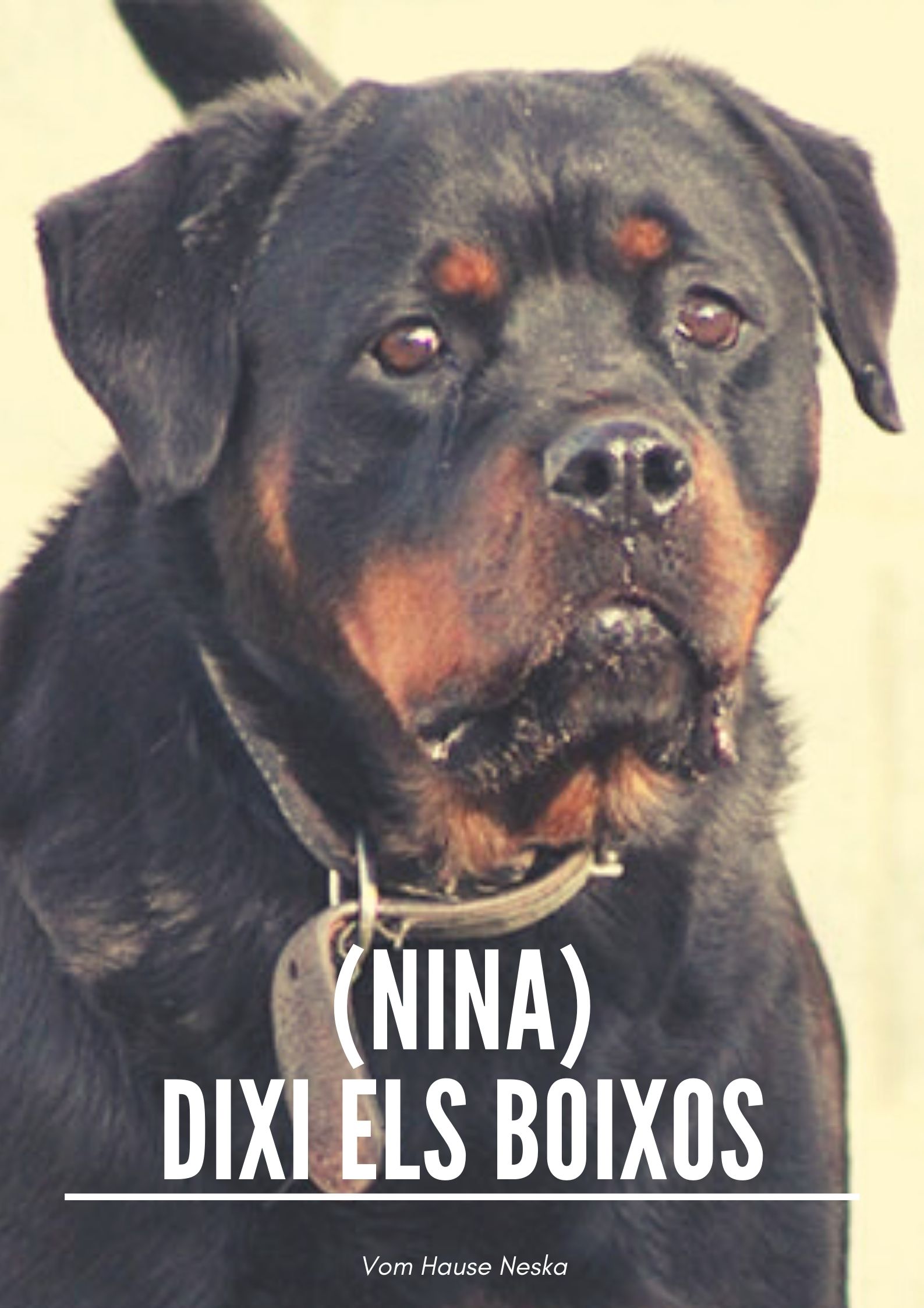 Foto de portada Dixi els Boixos