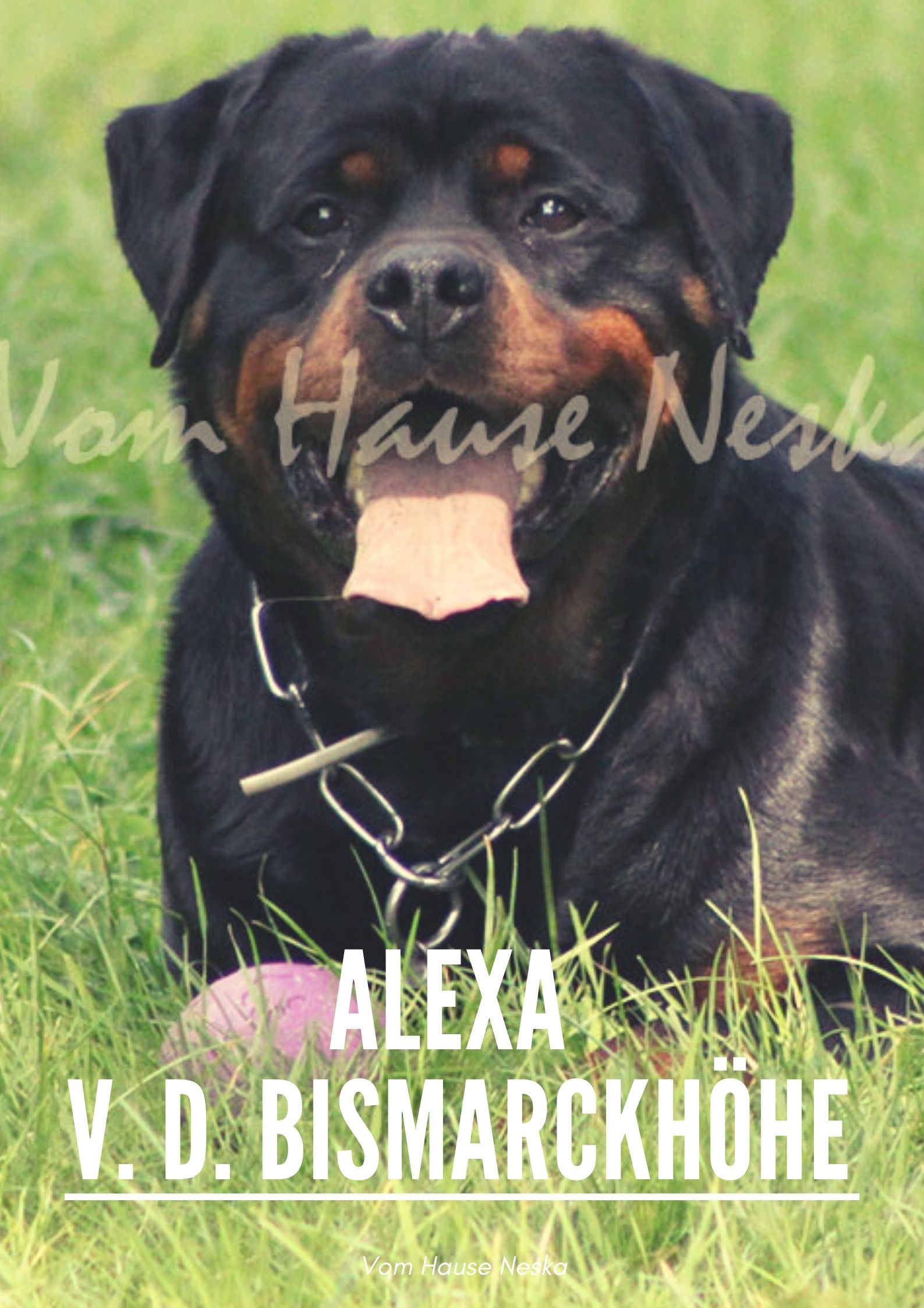 Foto de Portada Alexa von der Bismarckhöhe
