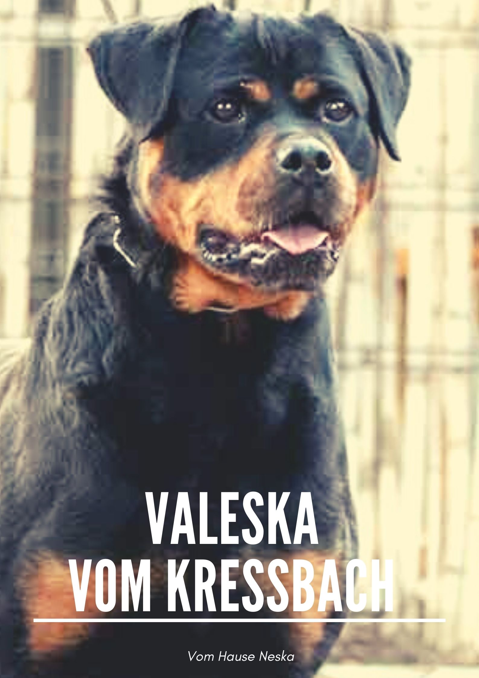 Foto de portada Valeska vom Kressbach
