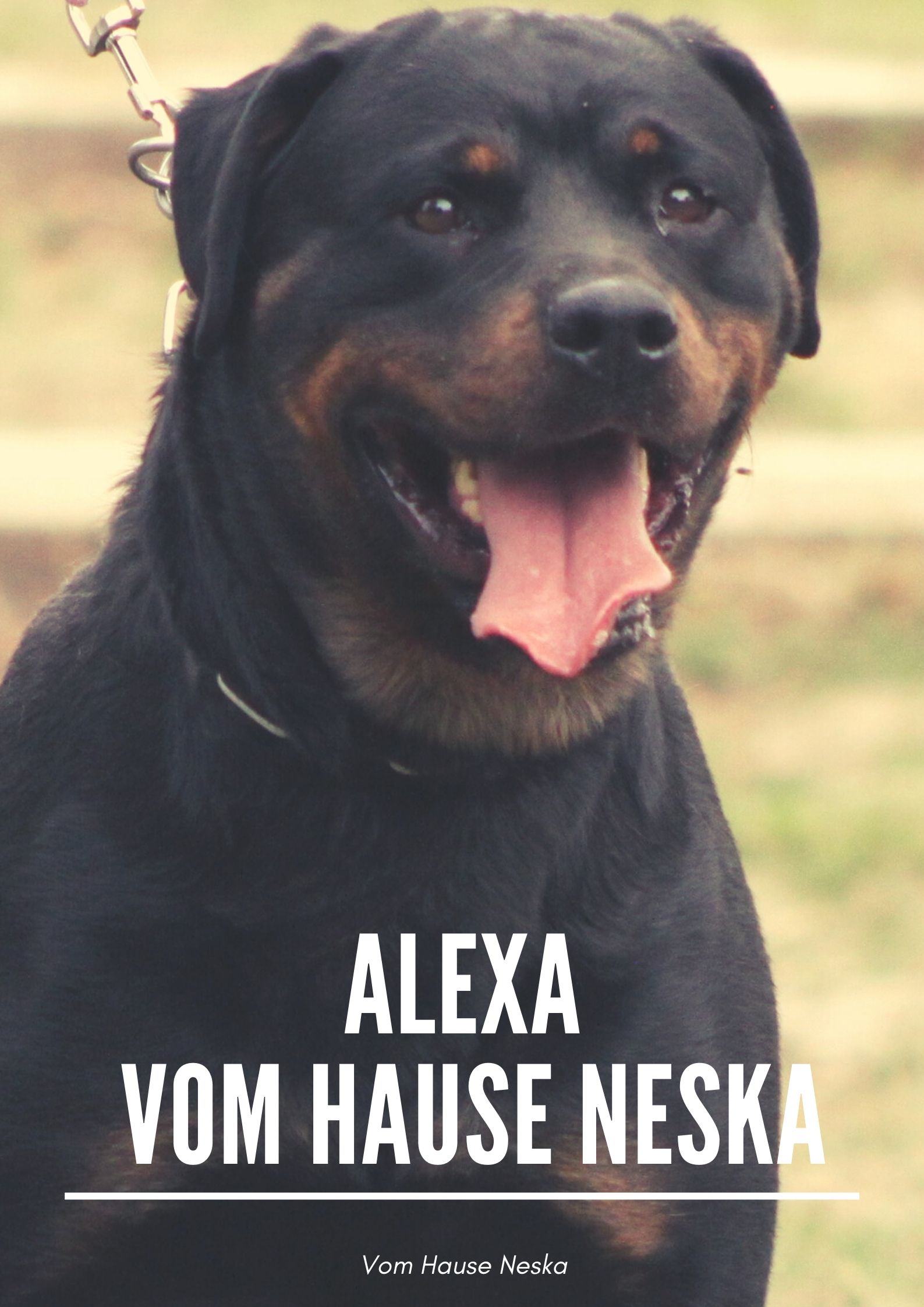 Foto de portada Alexa vom hause Neska