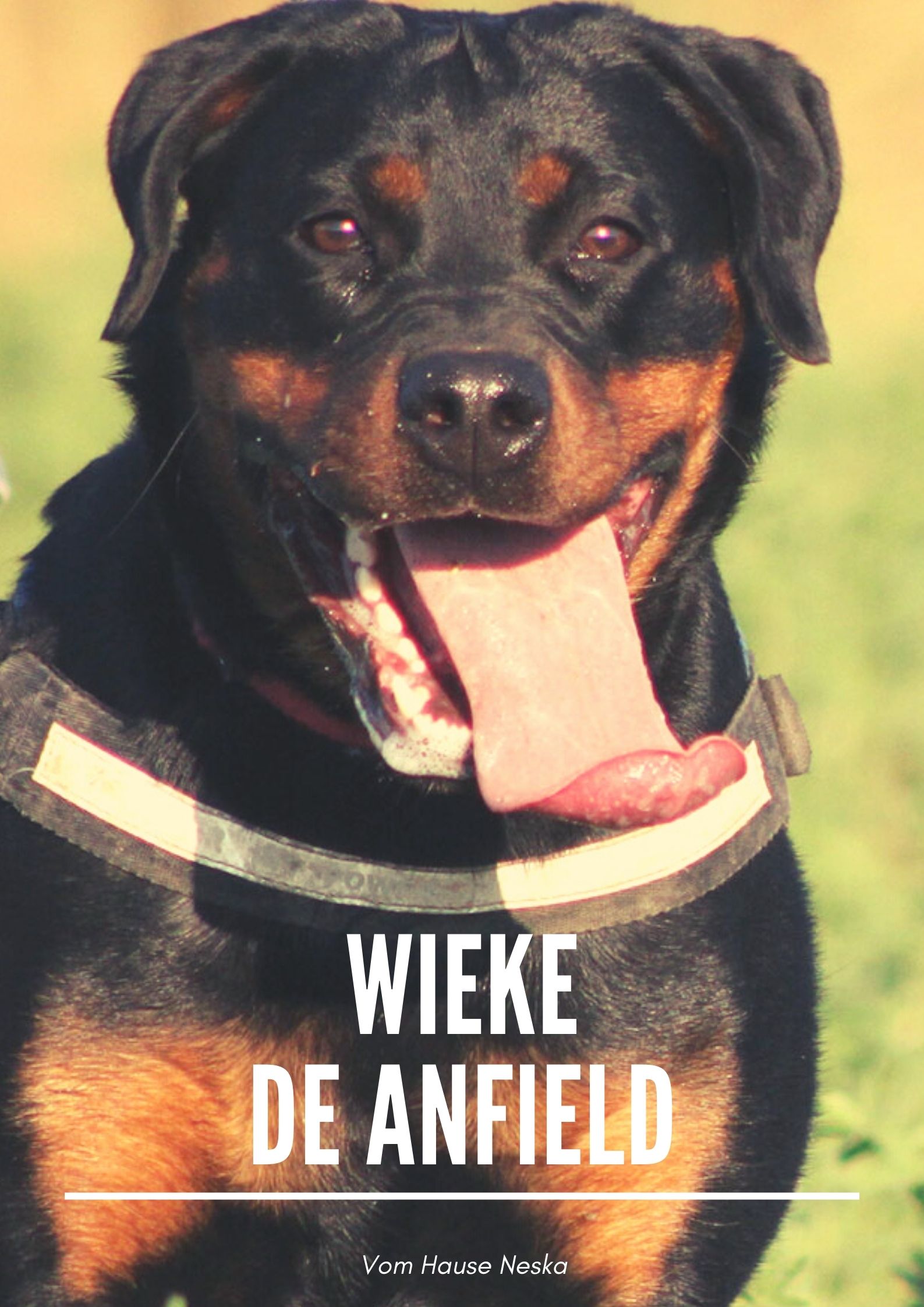 Foto de portada Wieke de Anfield