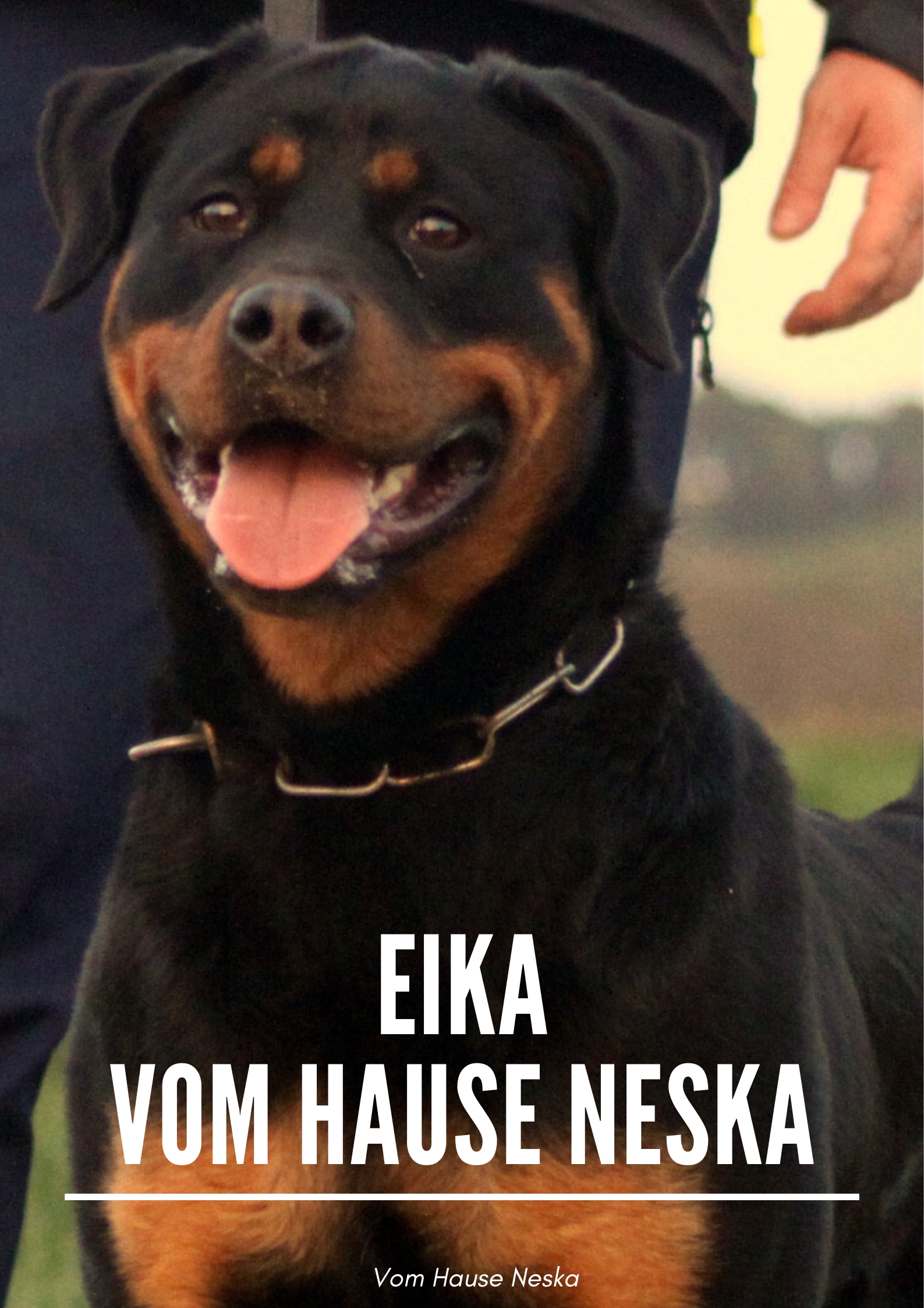 Foto de Portada de Eika vom hause Neska