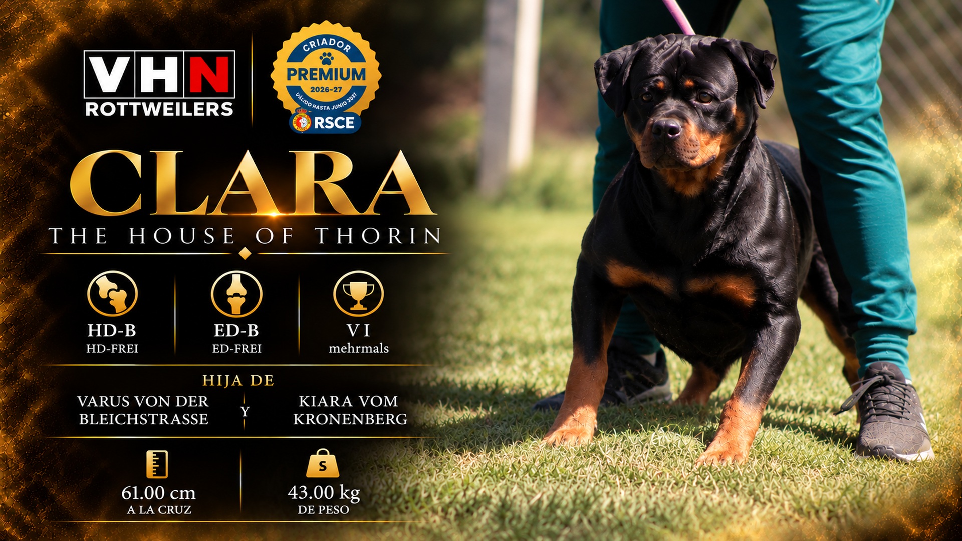 vhn-banner-clara.jpg