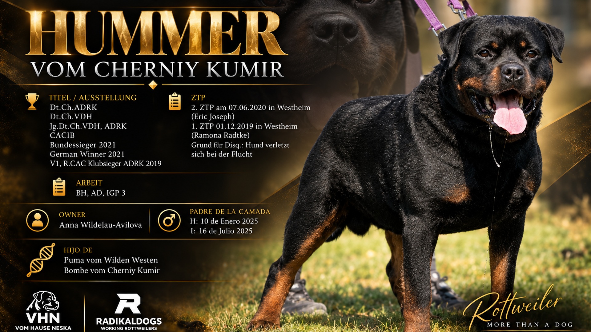 vhn-banner-hummer.jpg